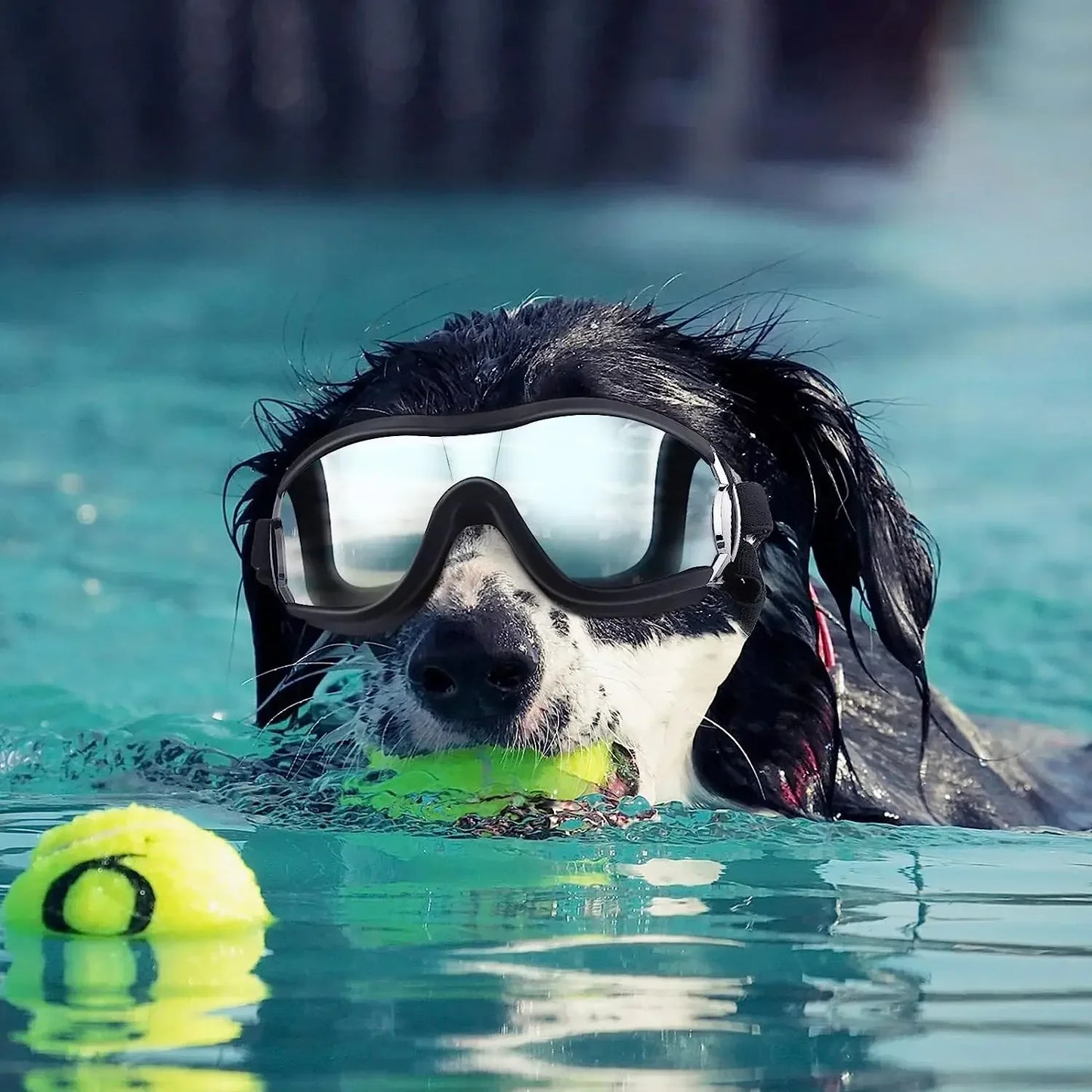Dog Sunglasses and Pet Helmet Set,Dust Wind UV Protection Dog Glasses Dog Helmet and Goggles Adjustable Dog Motorcycle Helmet