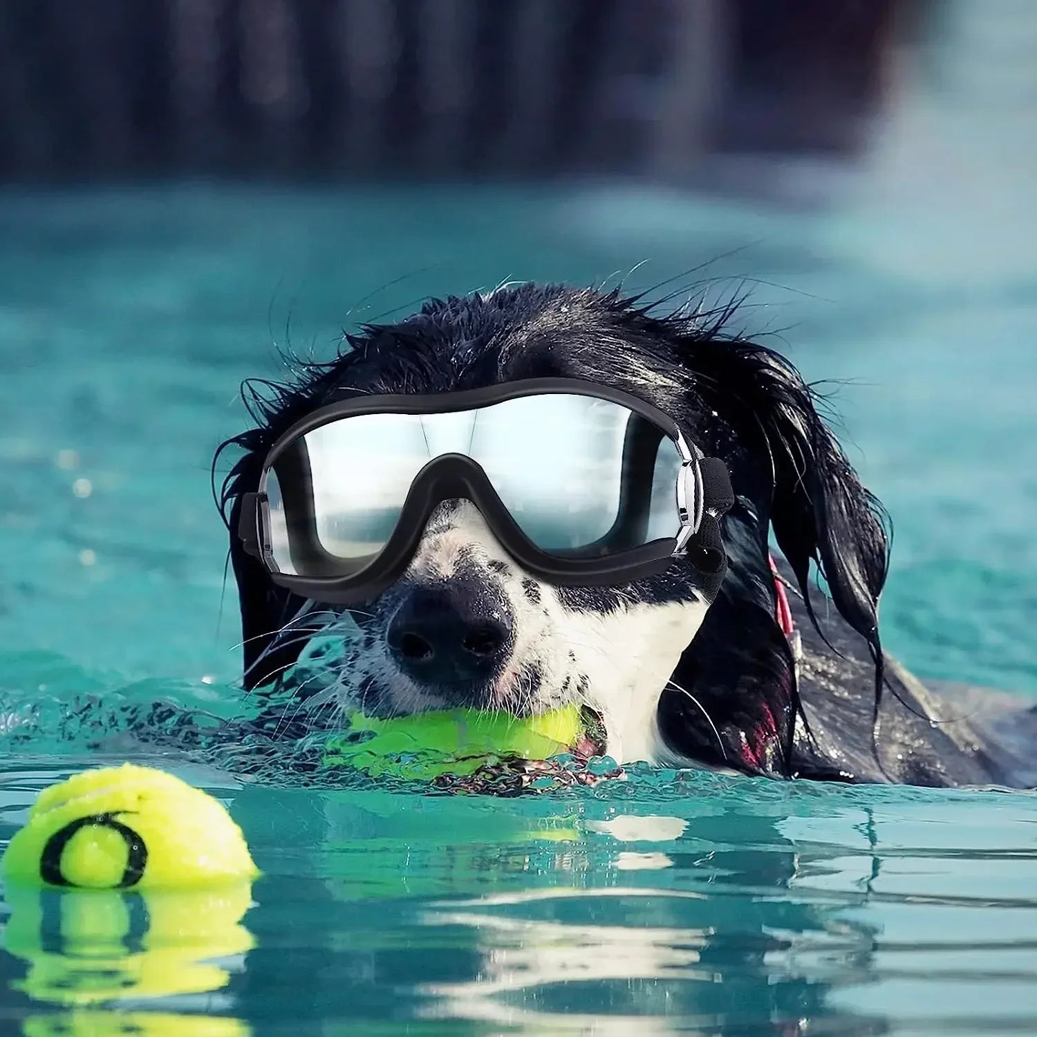 Dog Sunglasses and Pet Helmet Set,Dust Wind UV Protection Dog Glasses Dog Helmet and Goggles Adjustable Dog Motorcycle Helmet